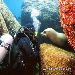 Scuba diving